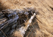 log .