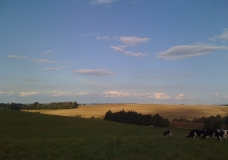 Chapecó's Nature