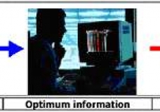 The Evolution of information Society