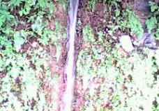 Water Fall