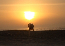 شمس غزة 3