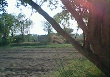 A Evening in village