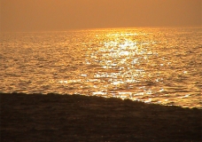بحر غزة