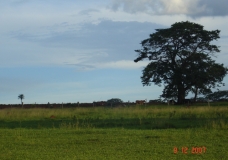 Campo e Céu