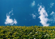 Entre el Cielo y la Tierra