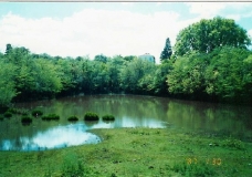 Laguna en Ascochinga - Pcia. C