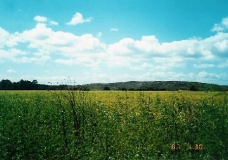 Campo en Ascochinga - Pcia. Córdoba