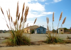 The Foreclosure!