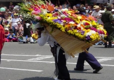 Medellin's Flowers Festival 3