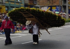 Medellin's Flowers Festival 5