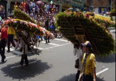 Medellin's Flowers Festival 6