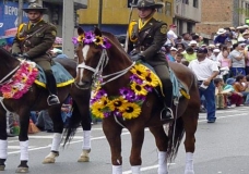 Medellin's Flowers Festival 7