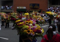 Medellin's Flowers Festival 9