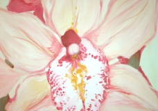 Orchidées I