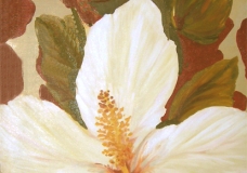 hibiscus