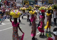 Medellin's Flowers Festival 8