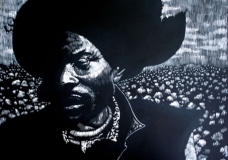 Cotton (The Fabric of Our Lives)
