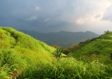 Lush-Green Sinhagarh!