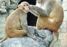 Loving and Caring
