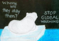Polar Bears...Where will they stay then?