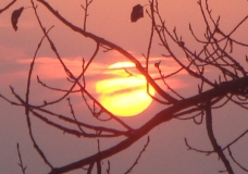 Sheikhs Mountain-Peacefull sunset