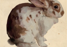 Arte Animalista y Naturalista
