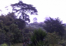 Mi tierra dieciseis