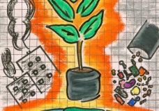 Protecting the world through planting of trees..