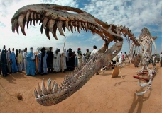 Sahara mysteries