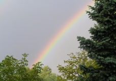 nature could save us....if only we are aware of paying just a tiny spark of INTEREST