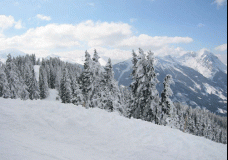 Winterwonderland