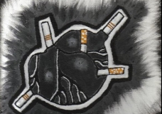 Lungs