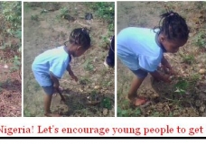 Food Security in Nigeria