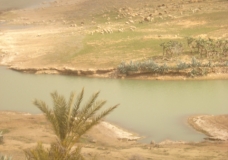 جمال بلادي 01