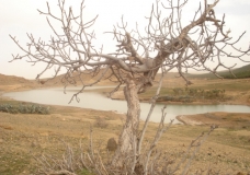 جمال بلادي 05