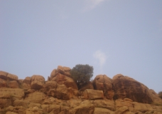 جمال بلادي 07