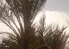 جمال بلادي 14