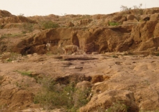 جمال بلادي 19