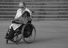 wheeled reader