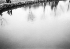 Water water on the seeds, to my left they rose and leaf..