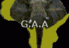 AFRICAN REVOLUTION