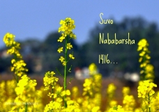 শুভ নববর্ষ...Happy (Bengali) New Year!