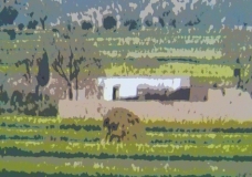 A landscape