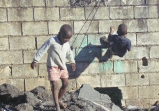 Jamaican Toys