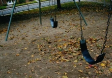 swings