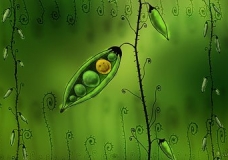 artificial bean