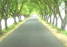 Road view of kishoreganj