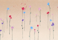 Desert Garden