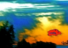Sky Looks Up