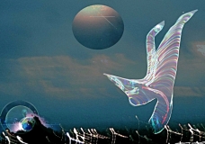 Birth Of A Dream